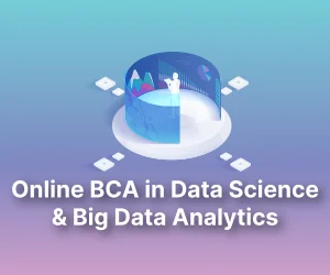Online BCA in Data Science and Big Data Analytics